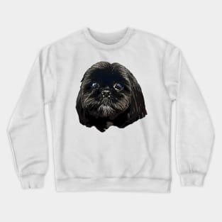 Shih Tzu Dog Crewneck Sweatshirt